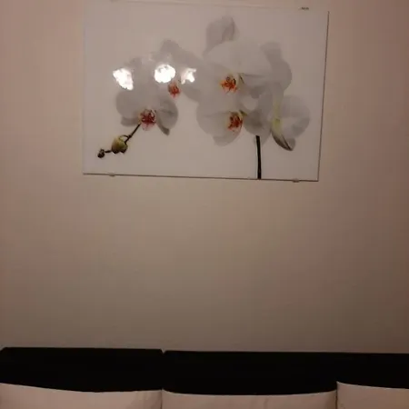Apartment Comfortable In The Heart Of *
