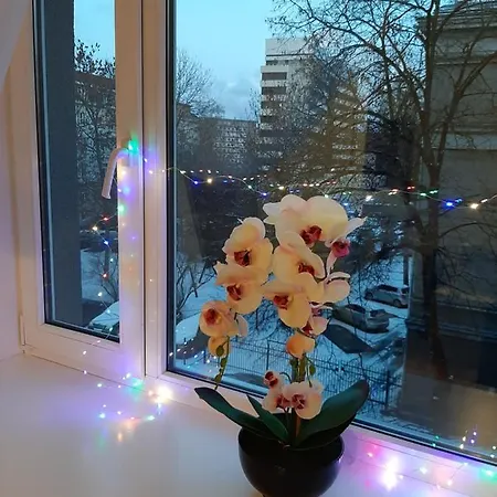 Apartment Comfortable In The Heart Of Tallinn
